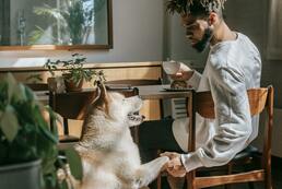 Salon de thé canin