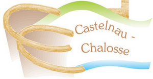 Logo Castelnau-Chalosse